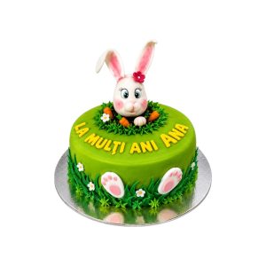 Tort Bunny bundle