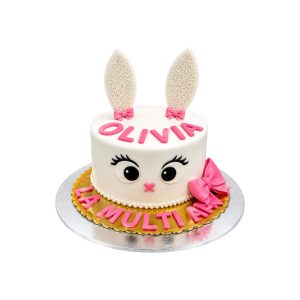 Tort Bunny ears